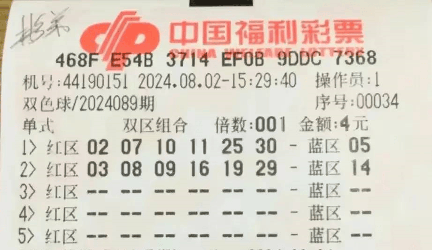 今晚澳门码特开什么号码,今晚澳门码特开什么号码——探索随机性与预测的边缘