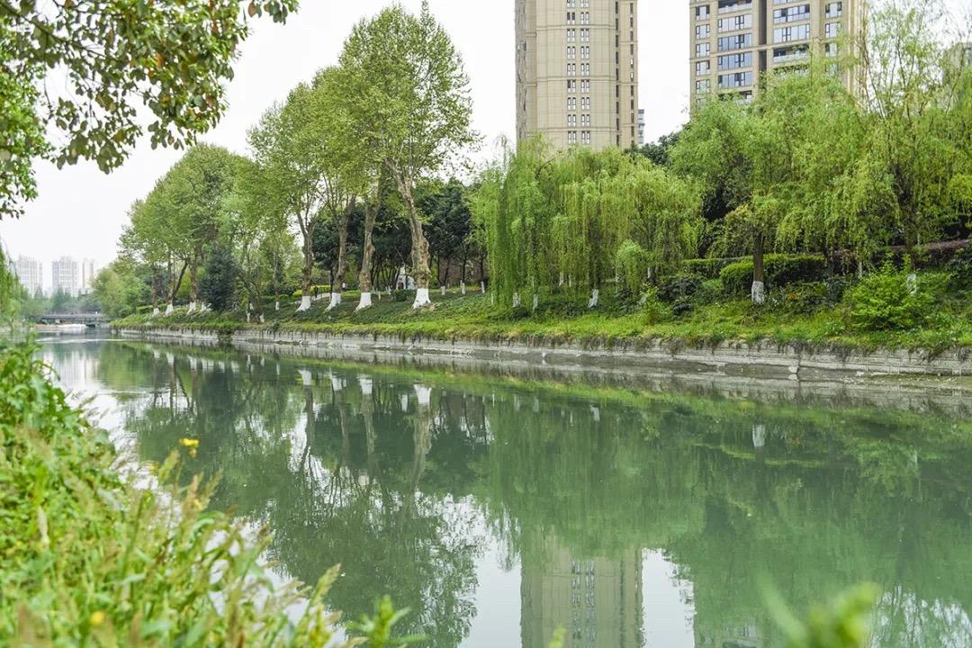 2025新臭精准资料大全,2025新臭精准资料大全——探索未来的关键资源