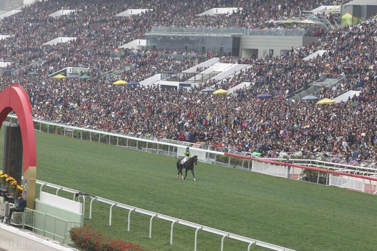 香港今晚开什么特马,香港今晚的马票预测与赛马文化深度解析